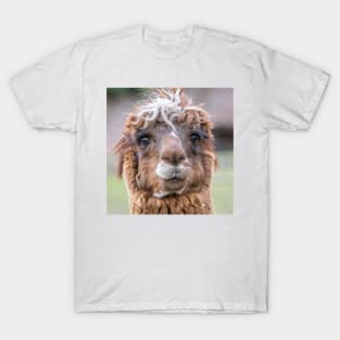 Llama T-Shirt